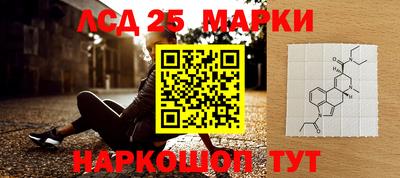 СК Будённовск