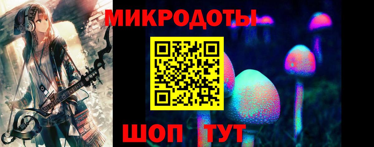 Галлюциногенные грибы Psilocybine cubensis Кубинка